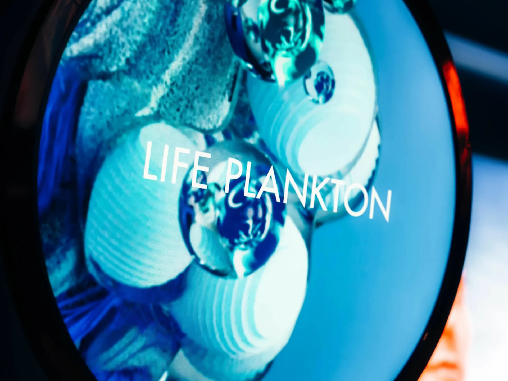 Biotherm — Play With Purpose — visuel 9