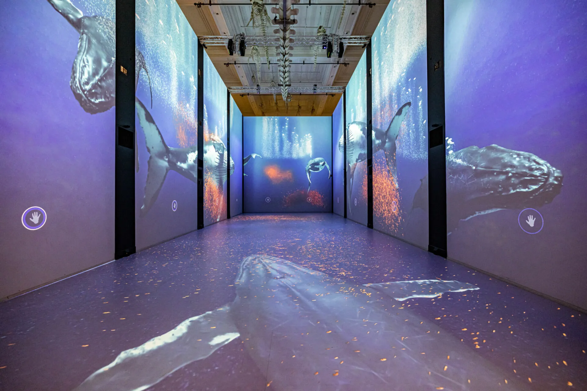 Immersion — Oceano Monaco — visuel 2