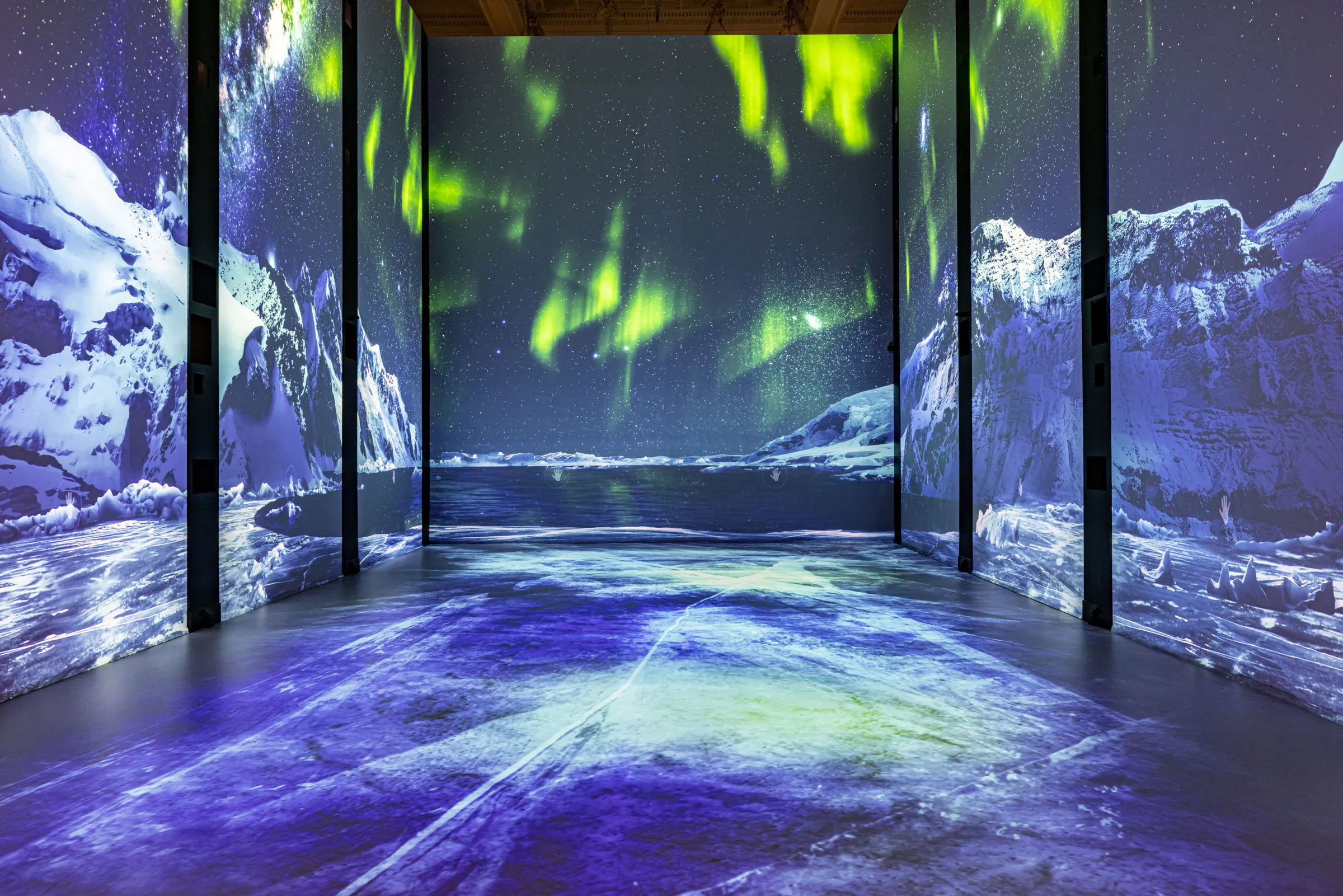 Immersion — Oceano Monaco — visuel 6