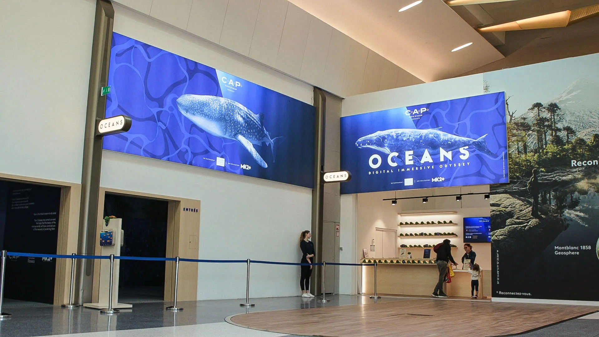 Ocean — An Immersive Odyssey