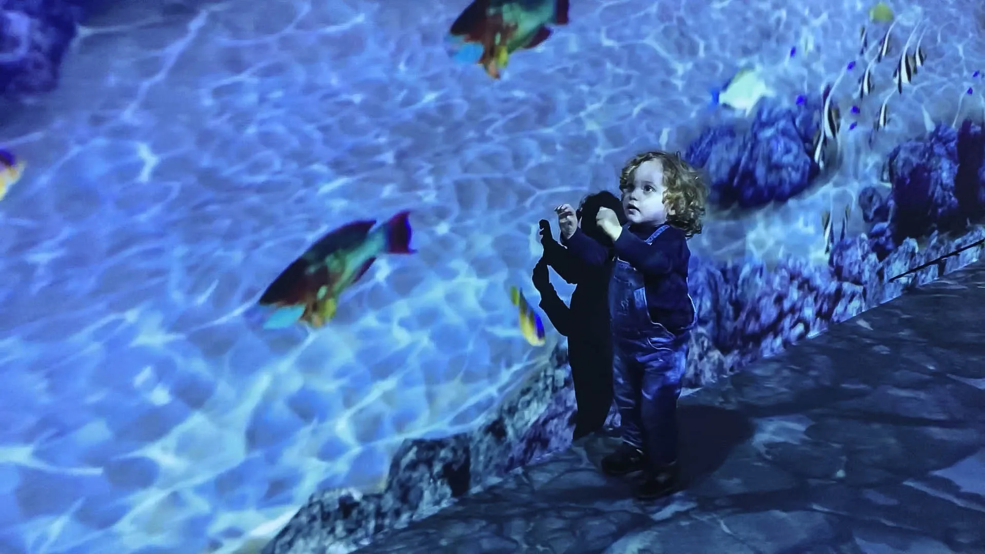 Ocean — An Immersive Odyssey — visuel 3