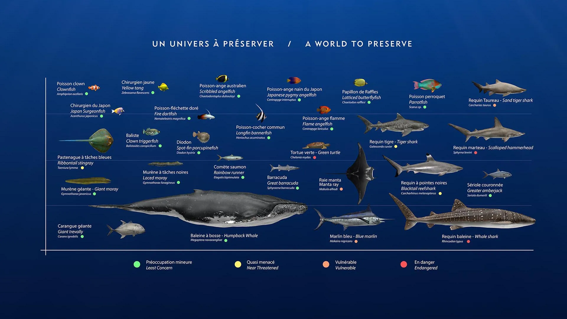 Ocean — An Immersive Odyssey — visuel 4
